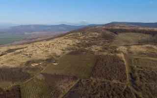 Vita-de-vie Premium  teren de 6800 mp în Covăsinț - Poză 19