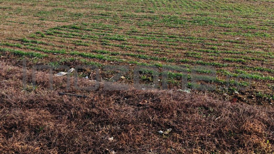 Dragomiresti Valea - Langa Centura, teren 31.200 mp, 35E/mp - Poză 6