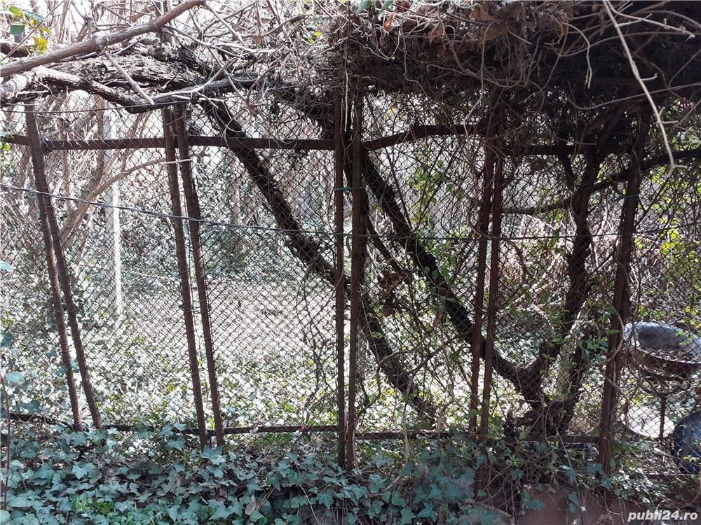 Casa zona Dacia Toamnei - Poză 6