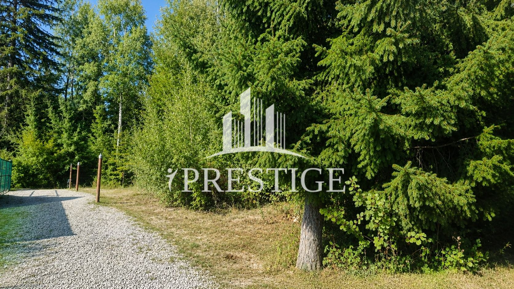 TEREN INTRAVILAN 744 MP | VALEA AVRIGULUI | IDEAL PENTRU CABANĂ - Poză 5