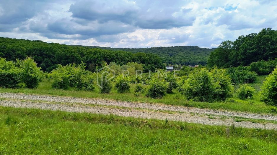 Oportunitate de investiție – 4 parcele în Corunca, 20 €/mp - Poză 1