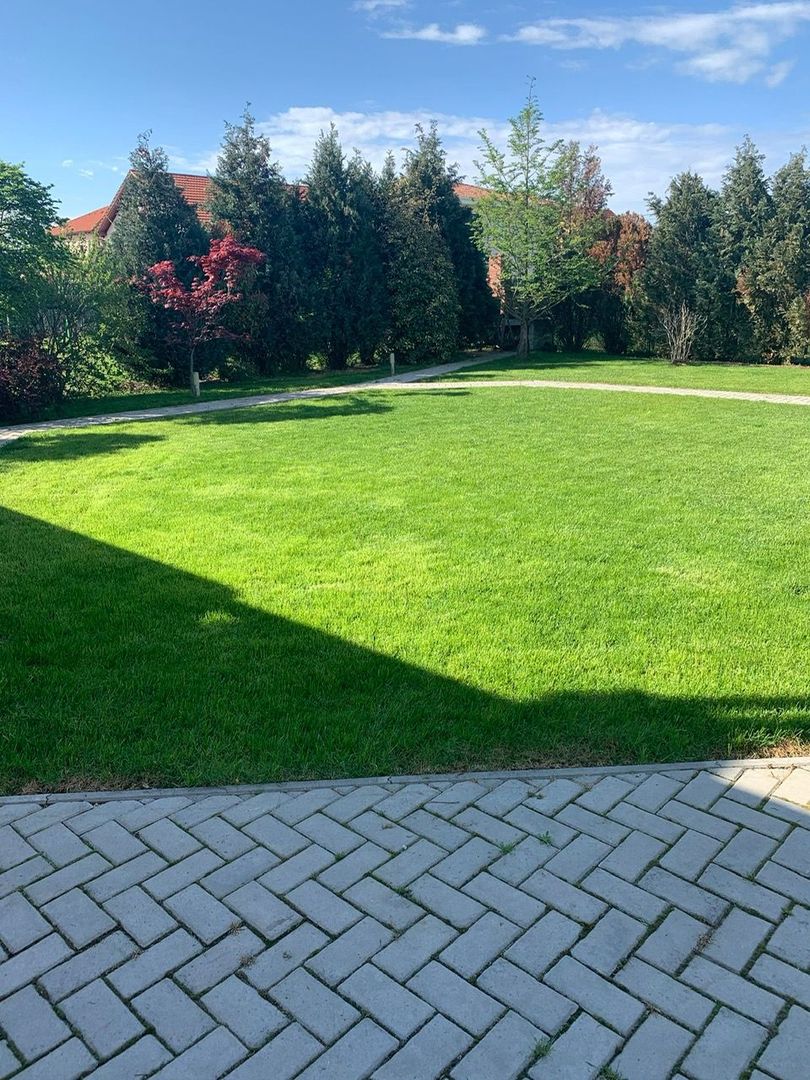 Casa individuala cu garaj  în spate la IKEA - Poză 3