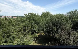Casa autentixa maramureseana de vanzare in Snagov-Tancabesti - Poză 20