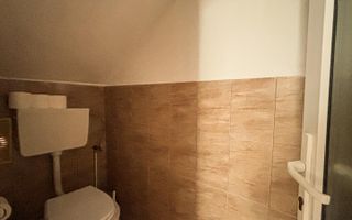 Casa individuala cu 12 camere, Potential Turistic, Visea, Comuna Jucu - Poză 27