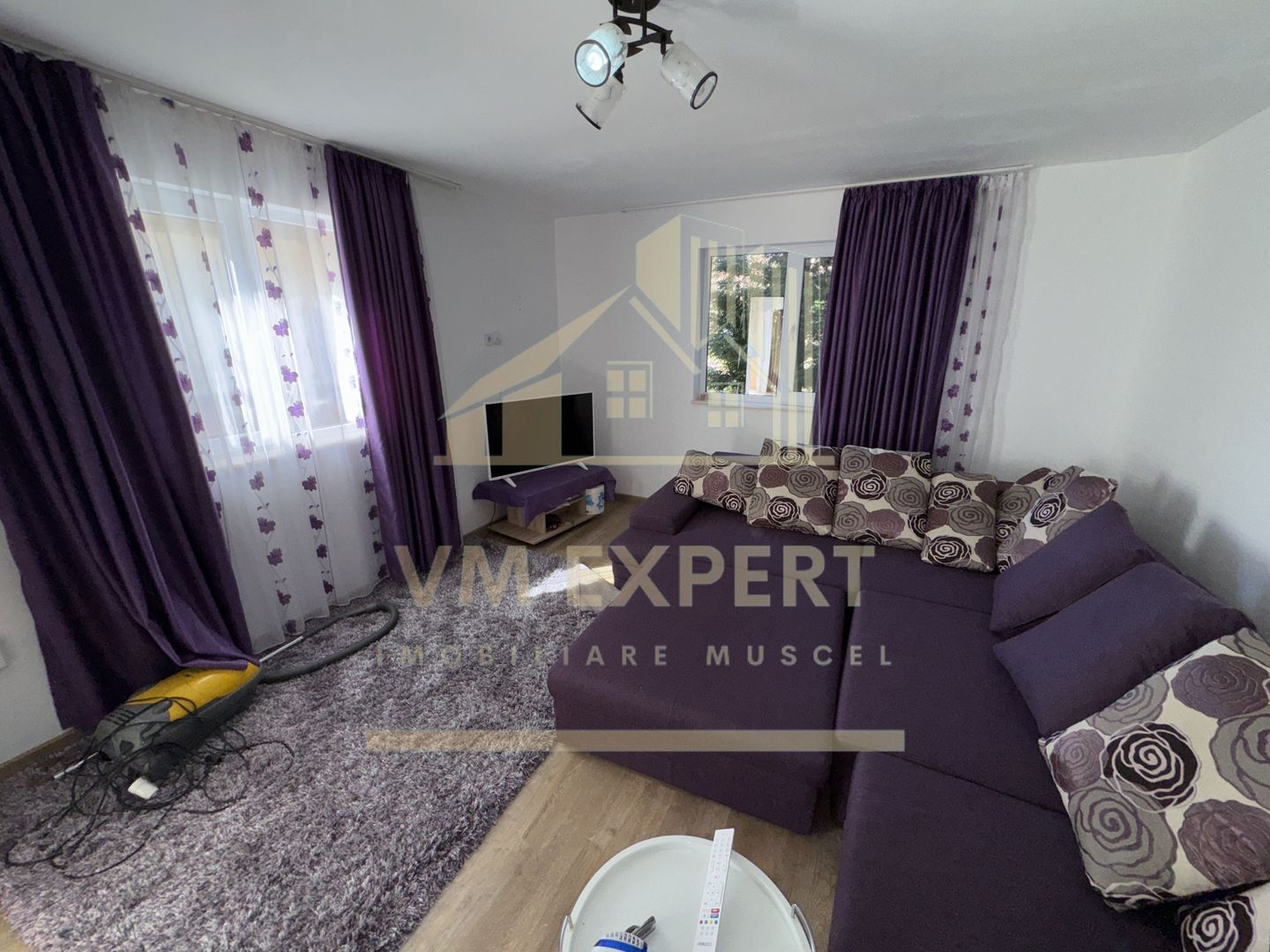 CASA 3 CAMERE, TEREN 1000 MP, GODENI, ARGES - Poză 19