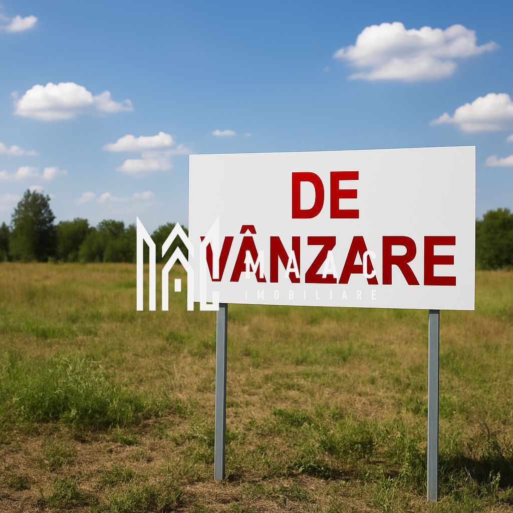 Teren Intravilan | 7.000 MP | Lângă DN1, Sibiu – Brașov - Poză 1