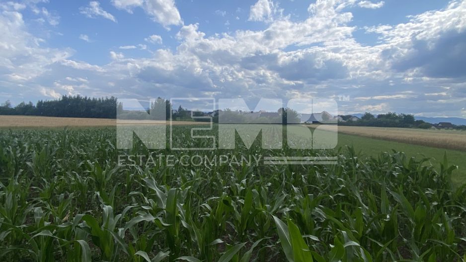 Teren Intravilan | 20 Ari | Frătăuții Noi - Poză 2