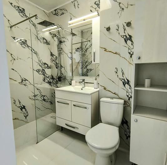 Ion Mihalache- Pta Chibrit- Calea Grivitei - Poză 6