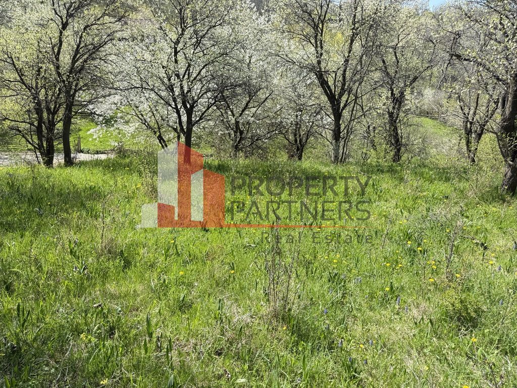 Teren 2500 mp Sohodol - Poză 11