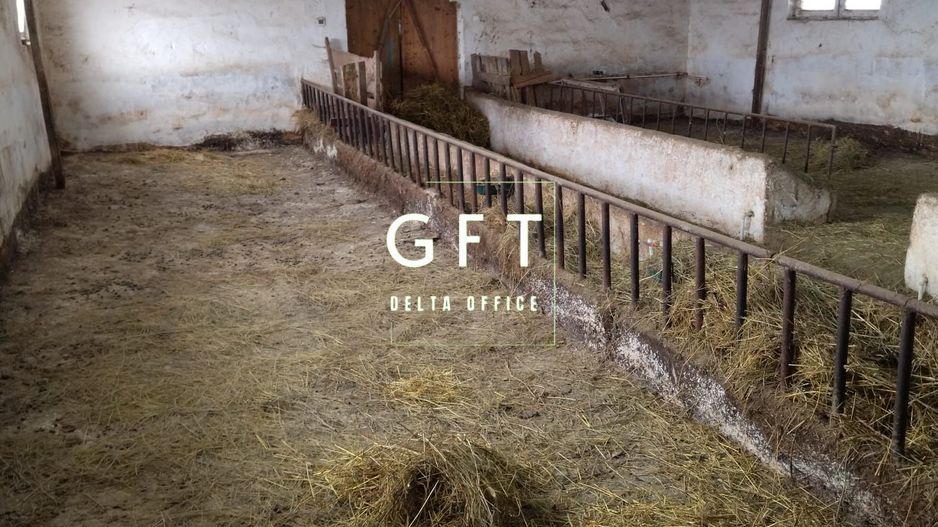 Hala de vanzare Bistrita Nasaud-3.9 km fata de Bistrita - Poză 6