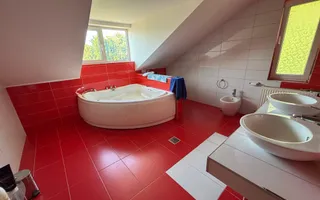De închiriat casa Făget -teren 2400mp - Poză 11