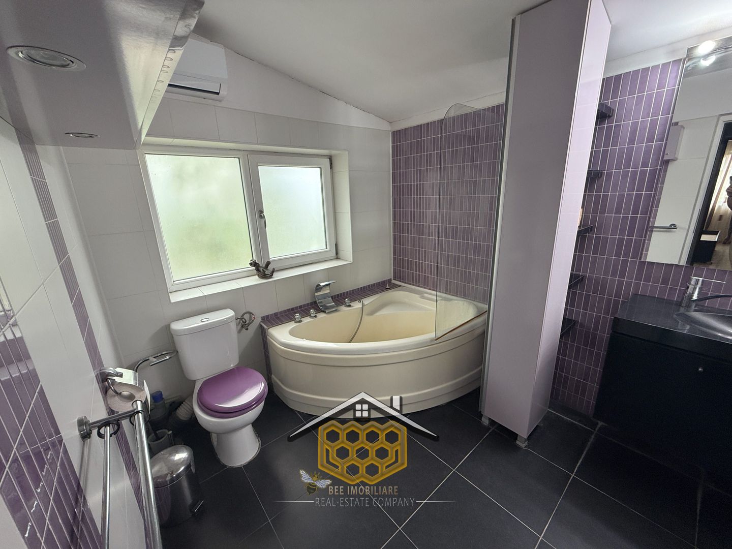 Oferta 2 case la pret de una in Ghercesti – Ideal pentru 2 familii - Poză 17