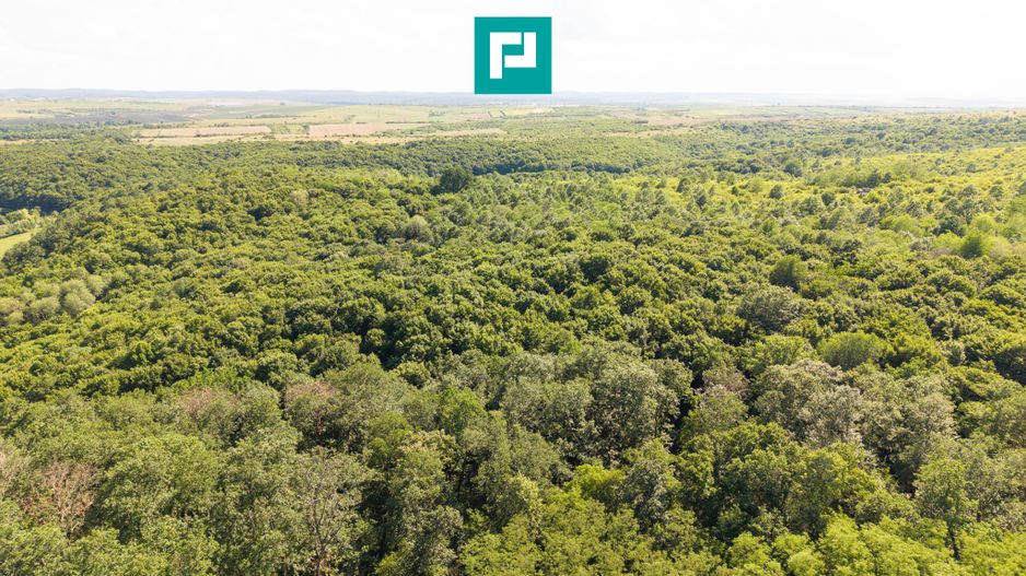 TEREN AGRICOL EXTRAVILAN  22.900 MP LIPOVA - Poză 19