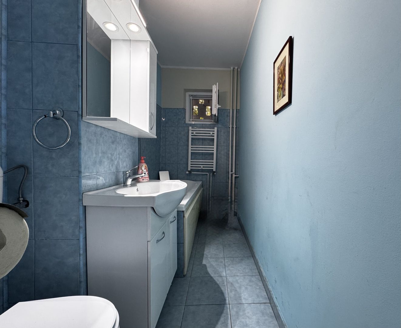 Apartament 2 camere, primitor, cu boxa, zona Central - Take Ionescu - Poză 10