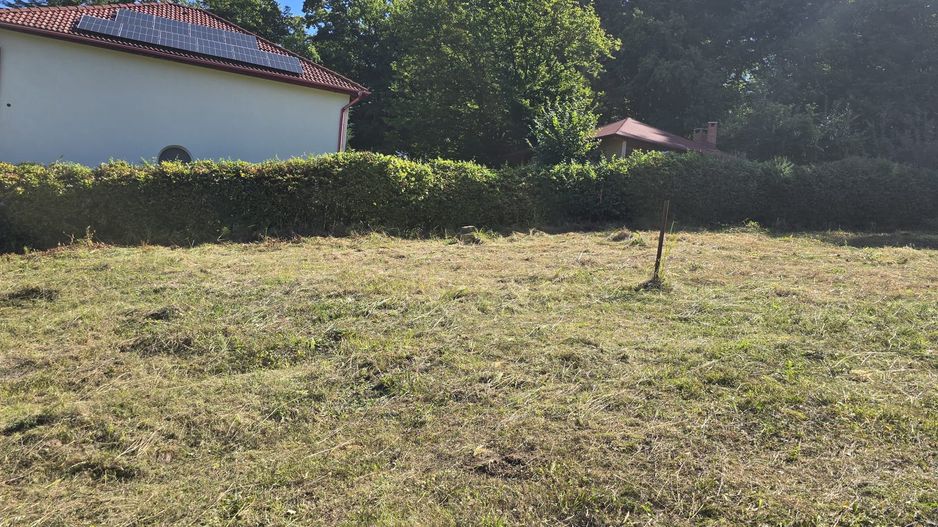 Teren cu PUZ aprobat în Făget, 2072 mp - Poză 4