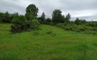 Casa 3 camere la DJ-renovata-teren 1000 mp-garaj-Blajenii de Jos - Poză 4