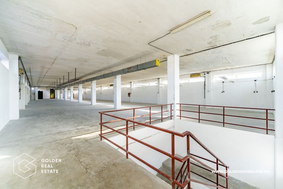 Hala pentu productie In zona Micalaca - Poză 6