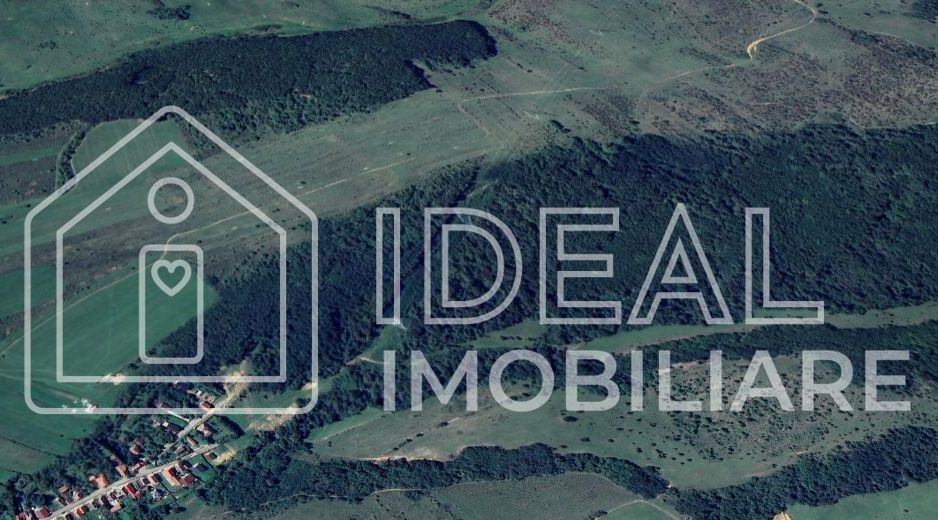 Pădure matură 12,71 ha - Mag, jud. Sibiu - potențial exploatare 2025 - Poză 2