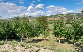 Casa individuala | 4 camere | Teren 2000 MP | Seica Mare - Poză 3