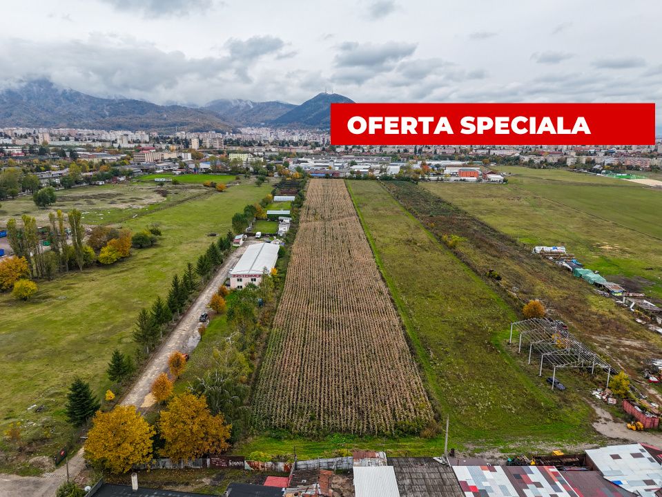 Teren industrial- Timișul Sec oportunitate investițională - Poză 2