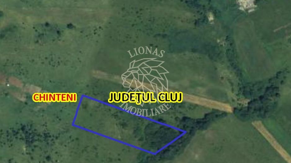 Teren de vânzare intravilan 8500 mp Chinteni Cluj oportunitate investitie - Poză 1