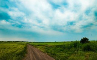 Teren intravilan in comuna Glina - Poză 1