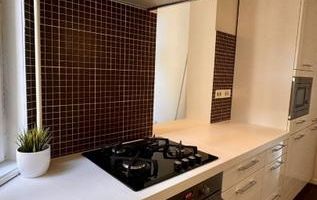 Apartament spațios și luminos într-o vilă interbelică –  Budapesta / Tineretului - Poză 9