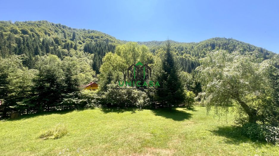 Proprietate deosebita de vanzare – Voinesița, Comuna Voineasa - Poză 10