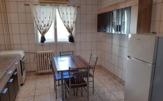De inchiriat apartament 2 camere zona Teiul Doamne - Poză 8