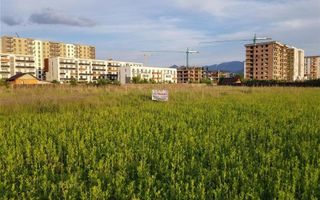 Teren Tractoru-1000 mp - Poză 8