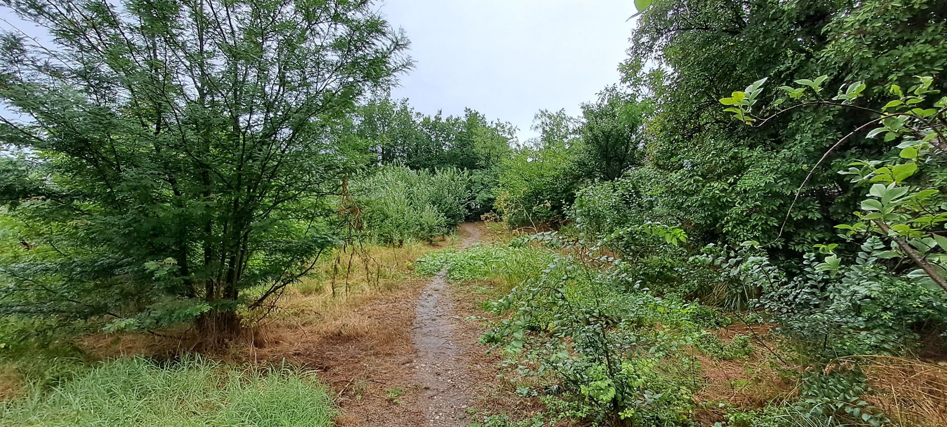 Giurgiu, comuna DAIA, casa demolabila, teren 1300 mp, dubla deschidere - Poză 4