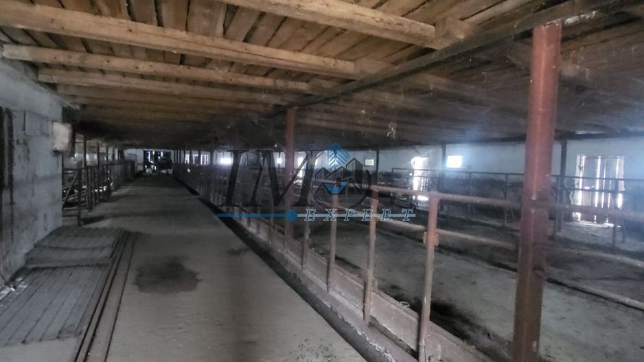 Grajd de inchiriat - Poză 3