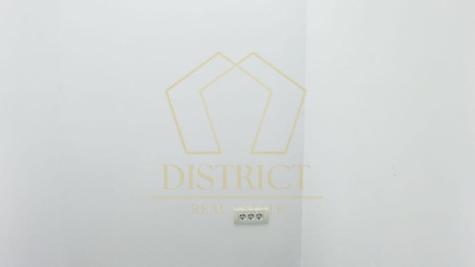 Spatiu comercial | Blascovici - Poză 2