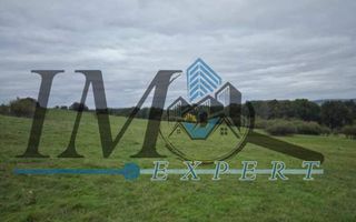 Teren de vanzare in Petresti Jud Alba  extravilan - Poză 3