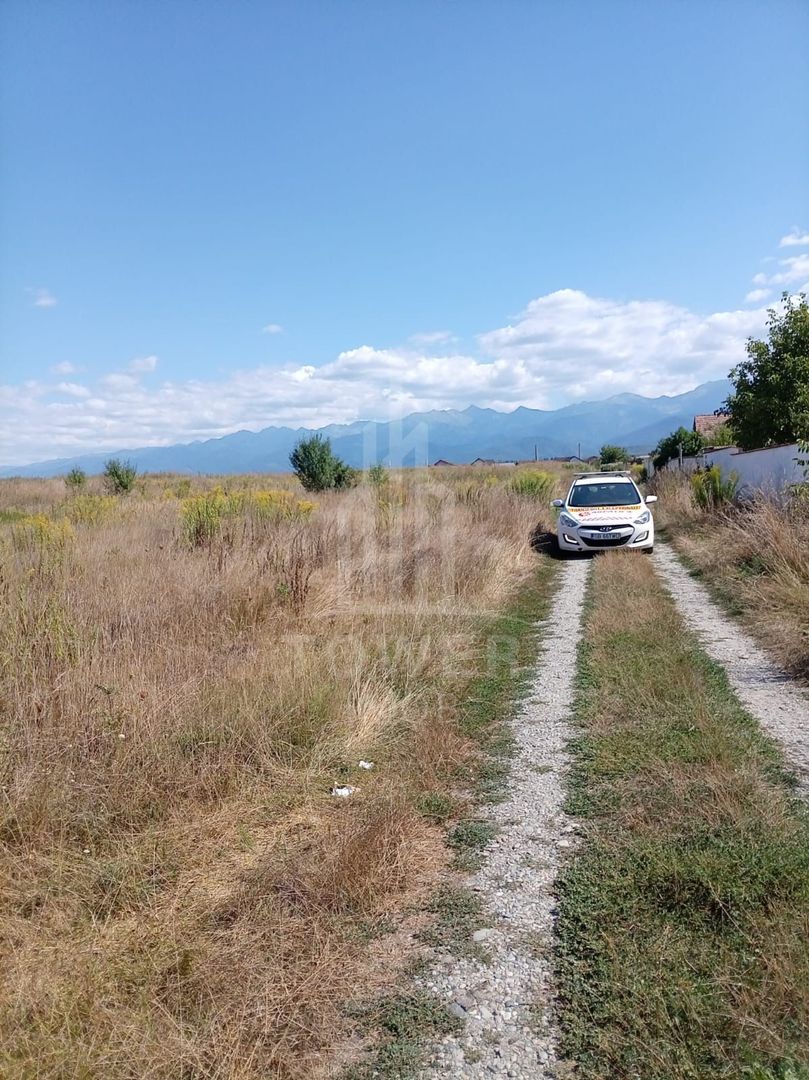 Teren intravilan de vânzare în Avrig | 1.000 mp | PUZ aprobat - Poză 6