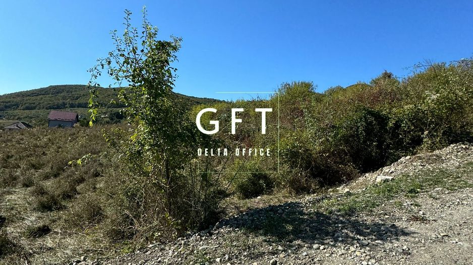 Teren de vanzare in Viisoara, 96 Ari. - Poză 3