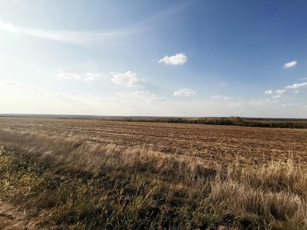 Ferma 415 ha comasat Timisoara NORD - Poză 11