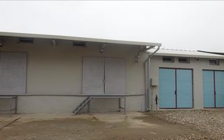 Hala de vanzare, Ampoi 3 - Poză 1