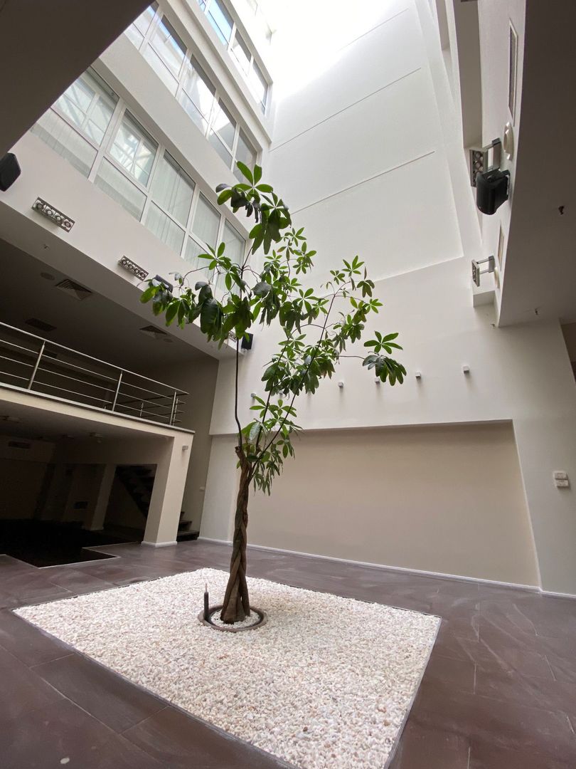 Spațiu de birouri de 300mp de închiriat în zona Centrala - Poză 13