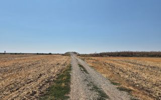 Teren intravilan 4428 mp - Balotesti - Poză 4