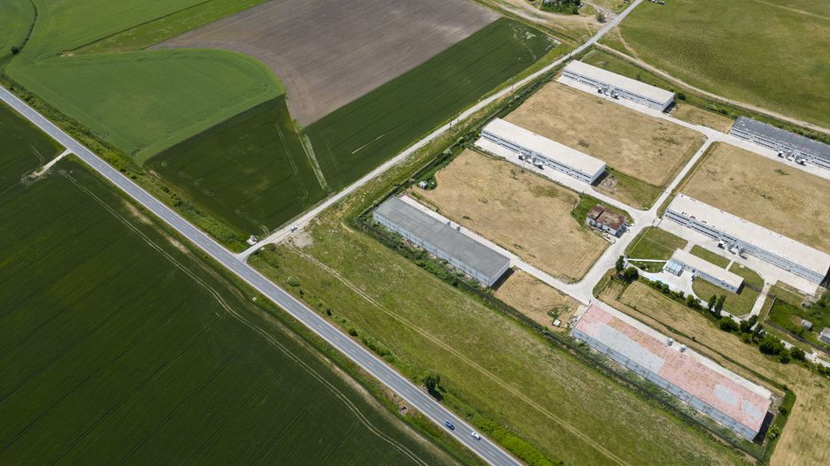 Teren Intravilan Investiții 11.600 mp Salonta - Poză 8