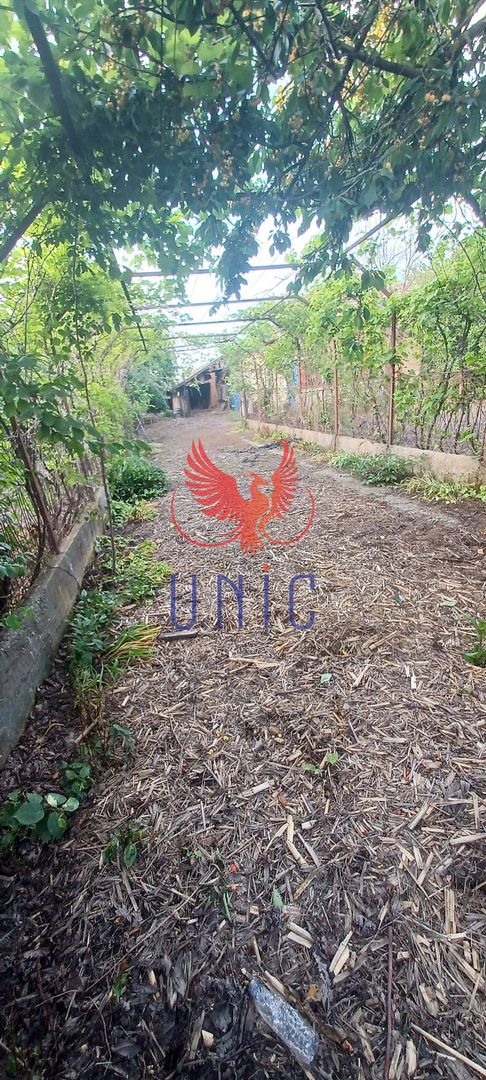 Casa cu teren de 1969 mp - Amarastii de Jos - Poză 7