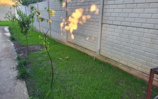 Vila Otopeni Central 5 camere, 400m2 curte, dormitor parter - Poză 10