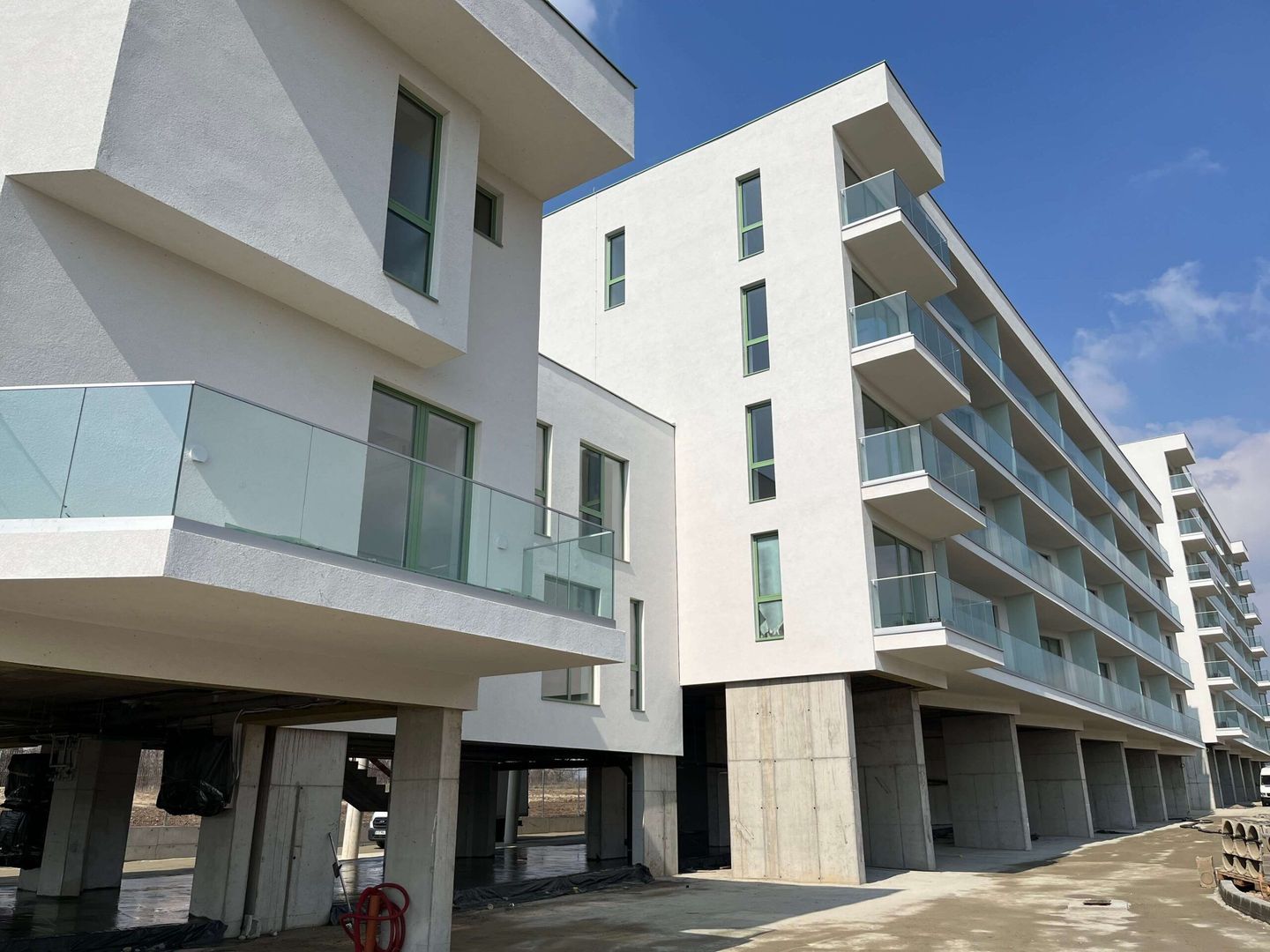 303 BY RADACINI - Poză 8