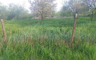 Teren intravilan de vânzare în sat Vânători, comuna Popricani, județul Iași - Poză 1