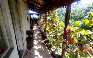 CASĂ DE VÂNZARE | 9 CAMERE | TEREN 1.000 MP | BĂICOI – ZONĂ CENTRALĂ - Poză 17