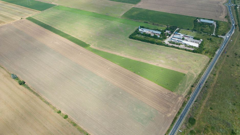 Teren extravilan 12.000 mp DN79 Arad-Oradea - Poză 9