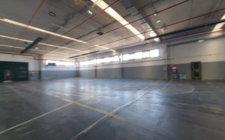 Hala productie /depozitare -zona C.  Sagului - Poză 6