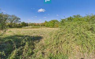 Teren intravilan 6115mp pentru investiții Firiteaz - Poză 3