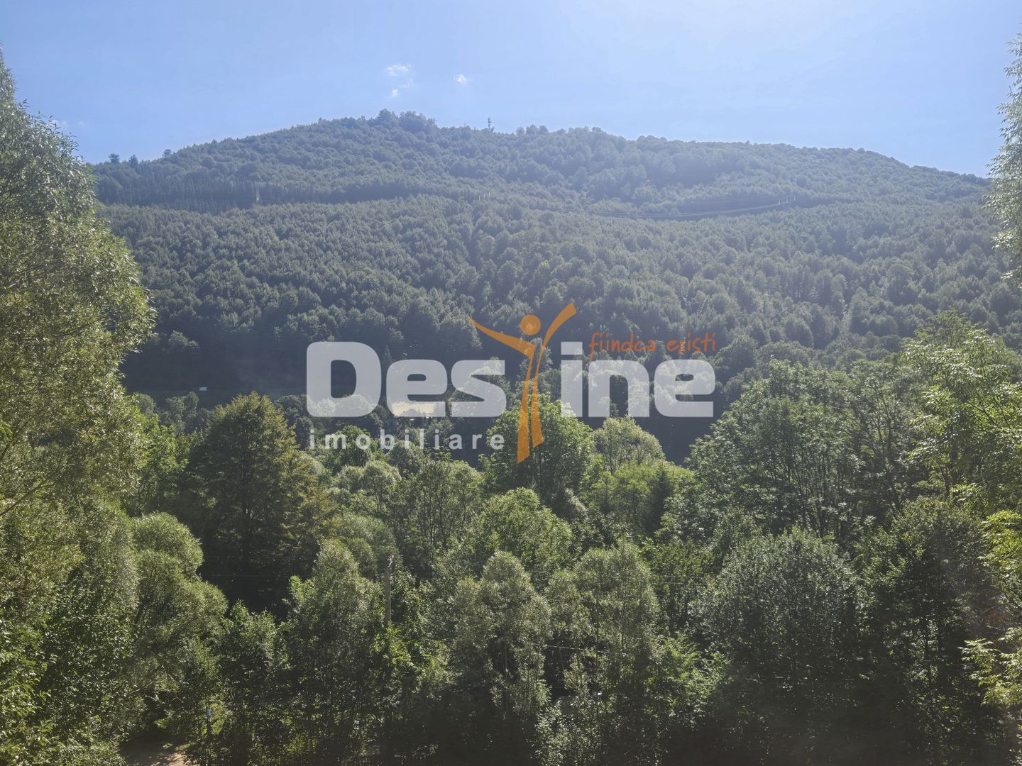 Teren Valea Doftanei,  zona Pe Vale - Baraj Paltinu - Poză 6